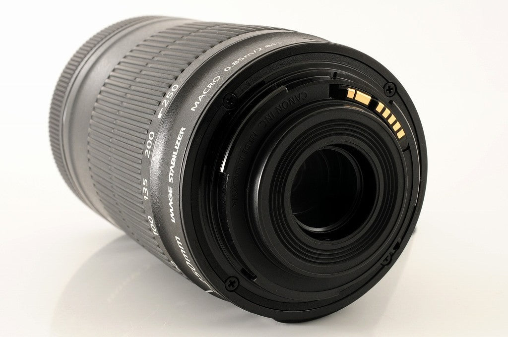 Canon EF-S 55-250mm f/4-5.6 IS STM Telephoto Zoom Lens