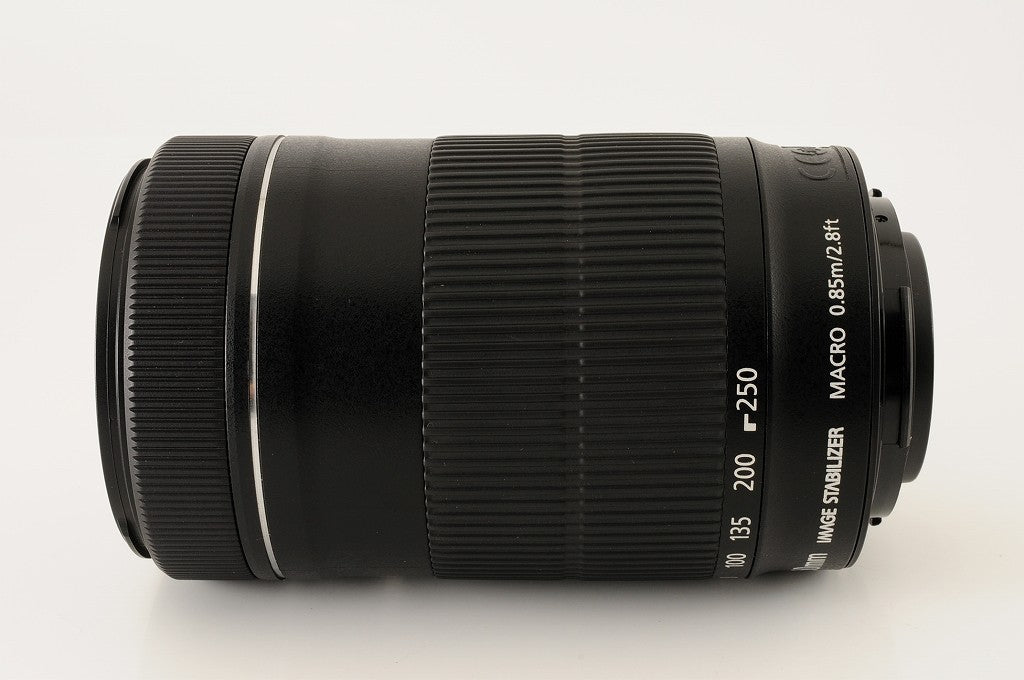 Canon EF-S 55-250mm f/4-5.6 IS STM Telephoto Zoom Lens