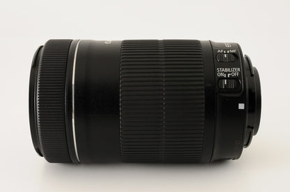 Canon EF-S 55-250mm f/4-5.6 IS STM Telephoto Zoom Lens