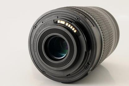 Canon EF-S 55-250mm f/4-5.6 IS STM Telephoto Zoom Lens